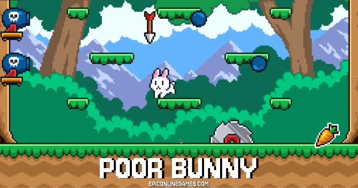Poor Bunny